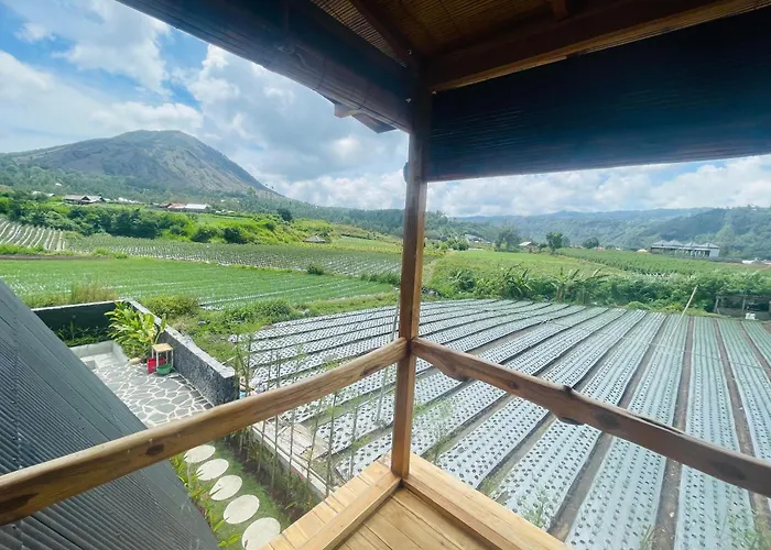 Batur Panorama Bed & Breakfast 4*
